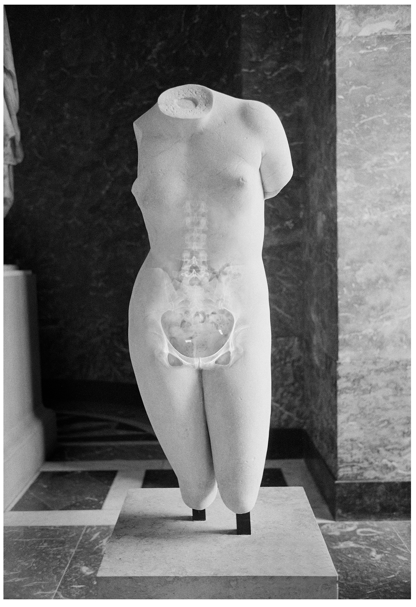 2. embedded bones untitled #2 Elia Bosshard Mais Wright gallery